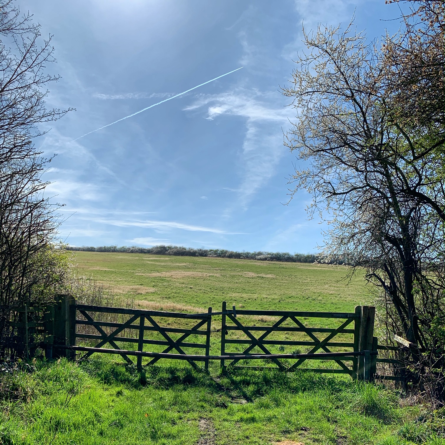 Image : A photograph of a country gate, leading to a grassy field and a horizon of blue.