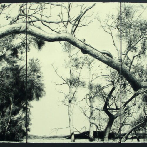 OCA News: Farewell to Simon Manfield thumb