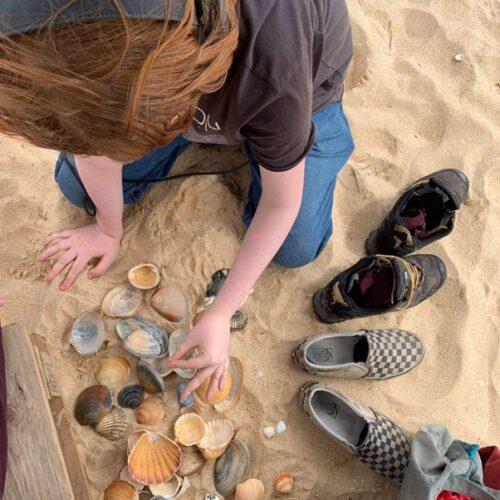 New Short Course – Discover OCA Creative Education thumb