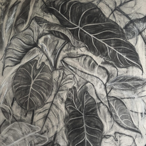 Felicity Talman – How My OCA Degree Led to Postgraduate Study thumb