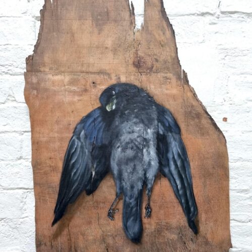 OCA Student Stories: Anna Pike thumb