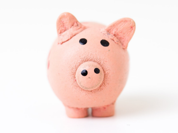 Pink piggy bank on white background.