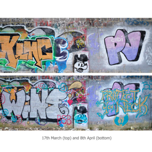 Colourful graffitti spray painted on a grey brick wall.
